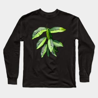 RHAPHIDOPHORA VARIEGATA Long Sleeve T-Shirt